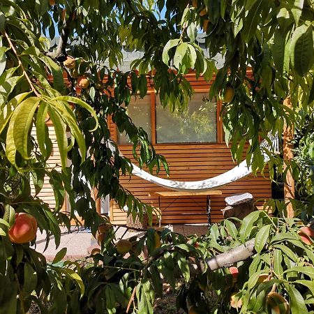 Вілла Relax Eaza - Casa Cu Hamac Констанца Екстер'єр фото