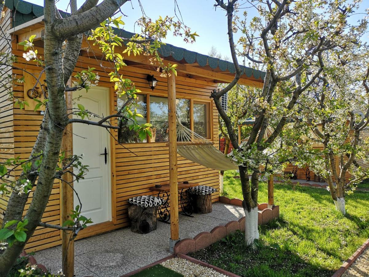 Вілла Relax Eaza - Casa Cu Hamac Констанца Екстер'єр фото